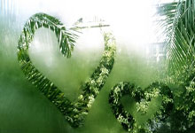 西班牙人队近期有哪些关键动态？